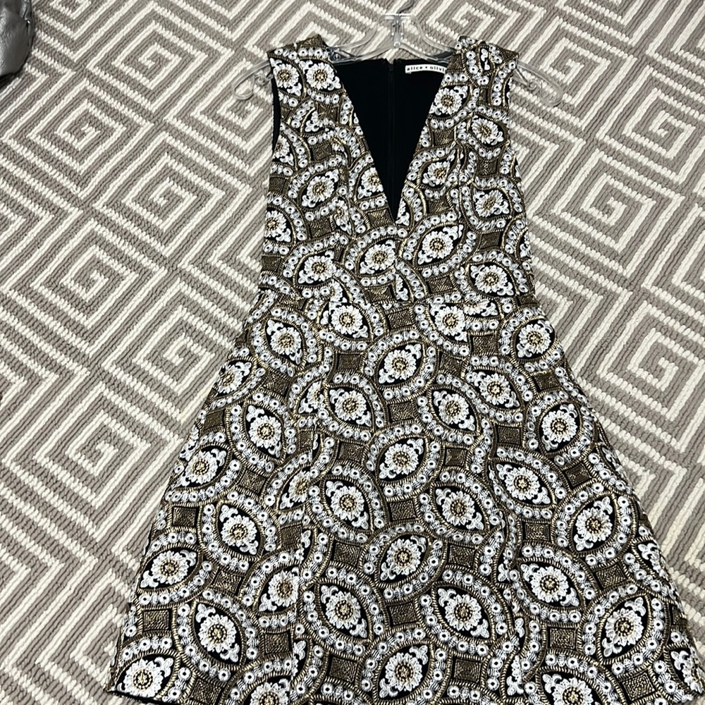 Stunning Alice and Olivia Dress